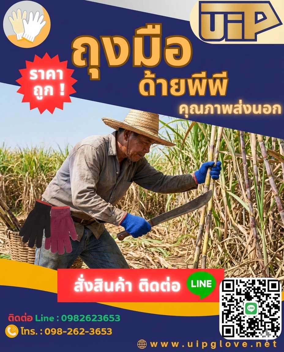 Polypropylene gloves